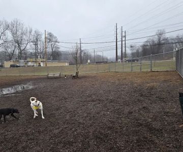 Saxony Dog Park