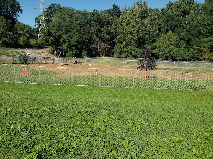 Saxony Dog Park 2