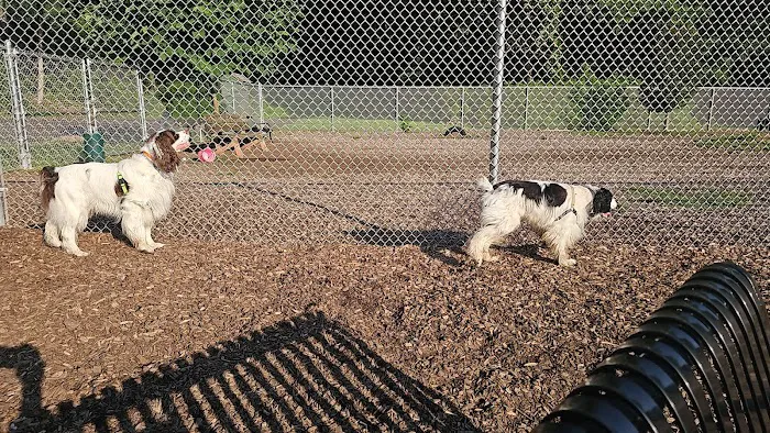 Saxony Dog Park 5