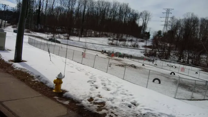 Saxony Dog Park 3
