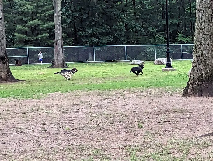 Agawam Dog Park 1