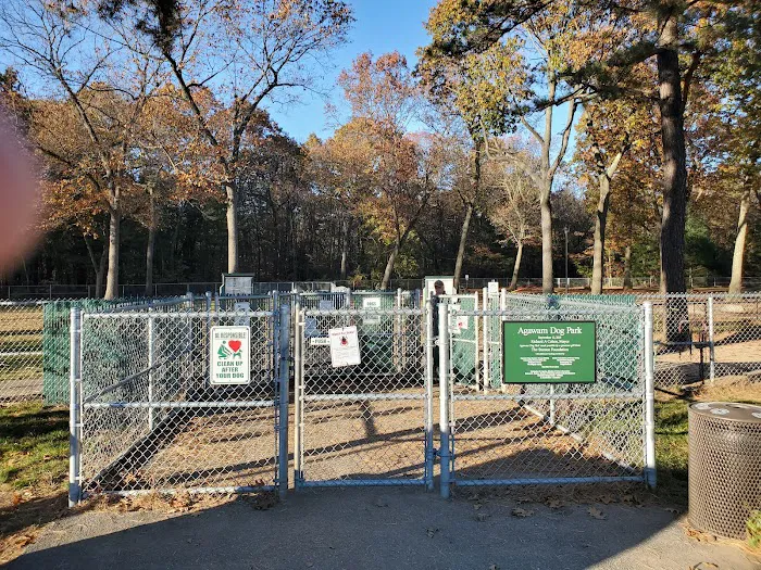 Agawam Dog Park 6