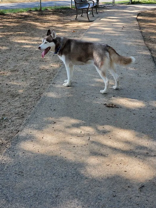 Agawam Dog Park 5