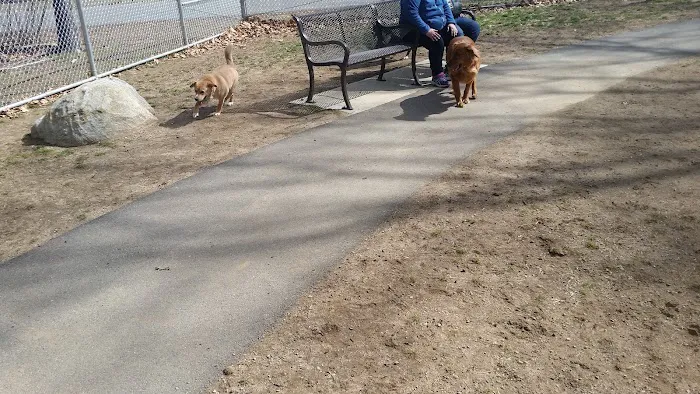 Agawam Dog Park 7