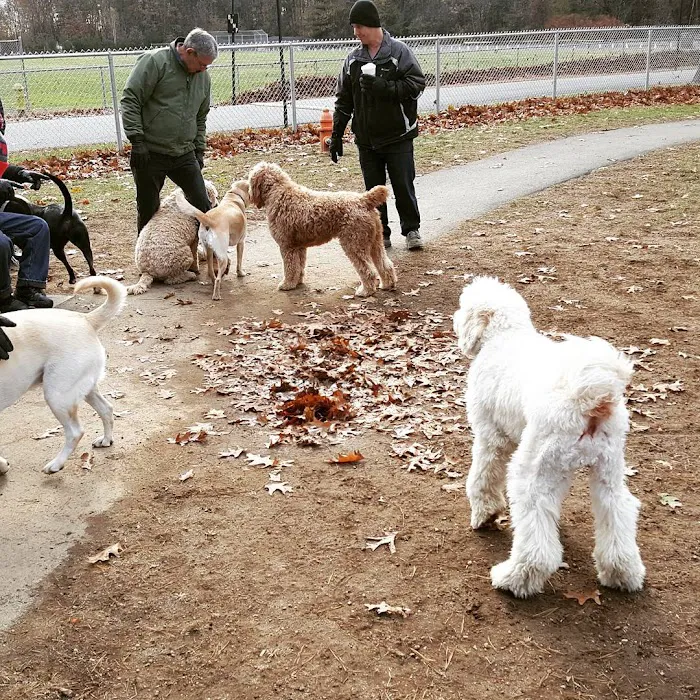 Agawam Dog Park 10