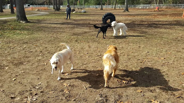 Agawam Dog Park 9