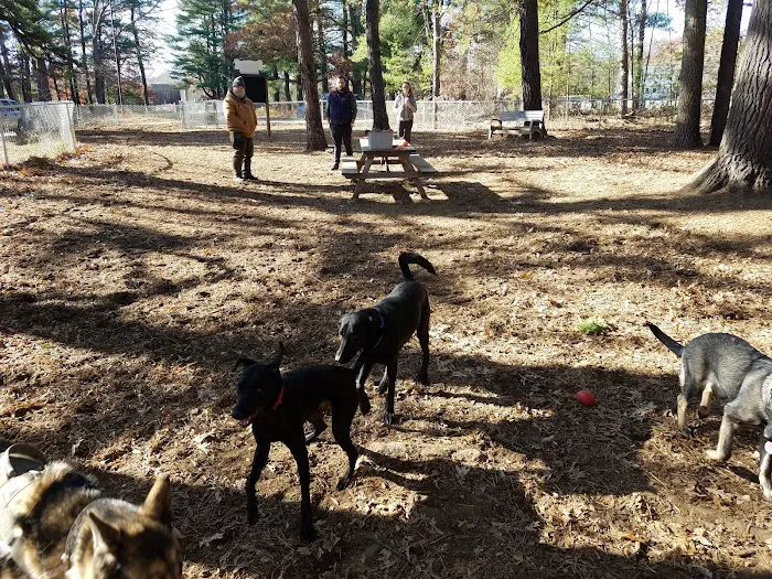 Westfield Dog Bark 2