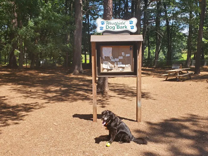 Westfield Dog Bark 3