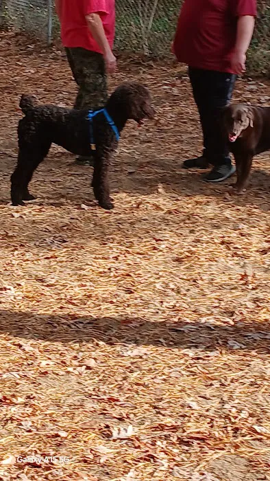 Westfield Dog Bark 8
