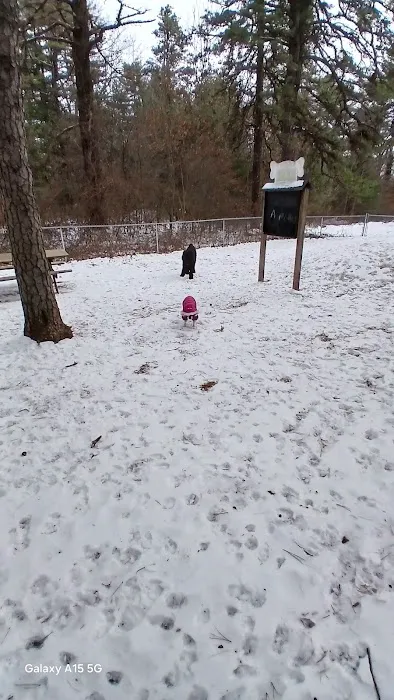 Westfield Dog Bark 7