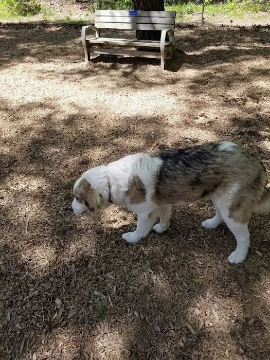 Westfield Dog Bark 5