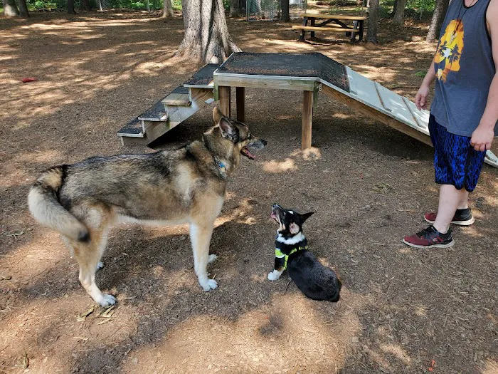 Westfield Dog Bark 6
