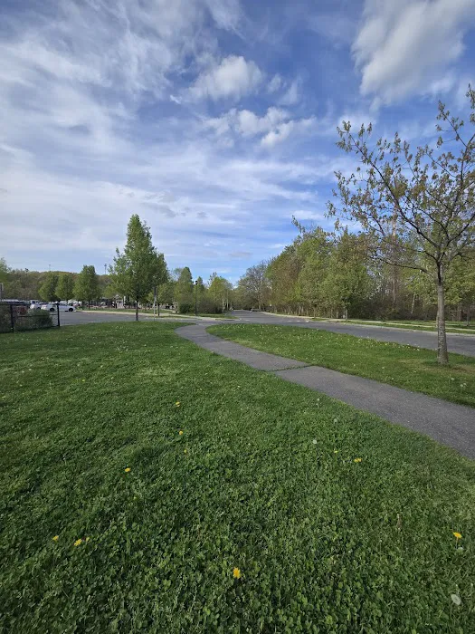 Holyoke Dog Park 5