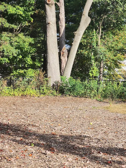 Service Dog Memorial Dog Park 5