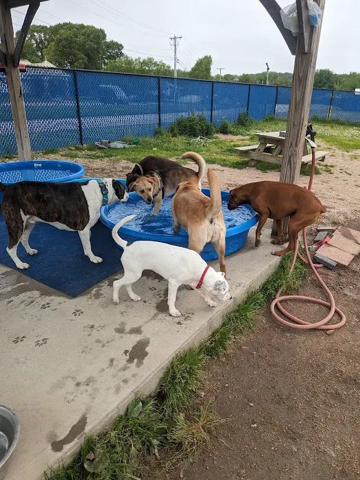Westerly Dog Park 1