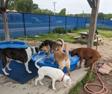 Westerly Dog Park