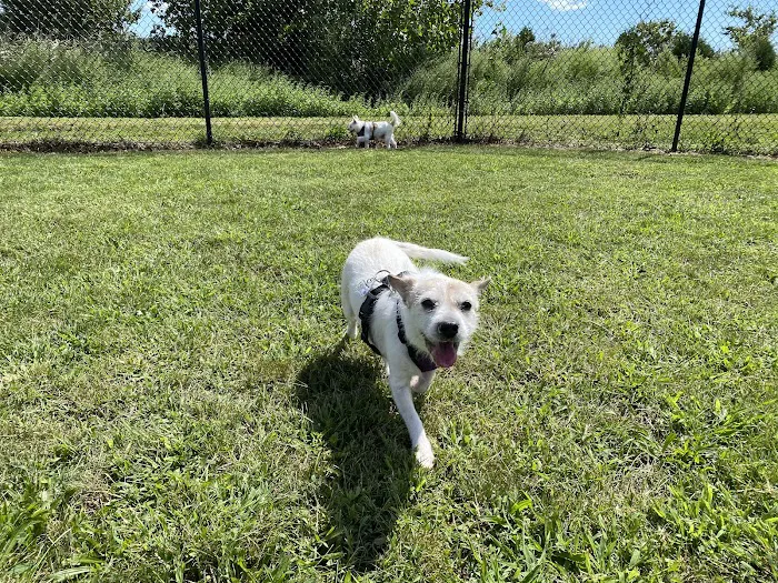 Westerly Dog Park 3