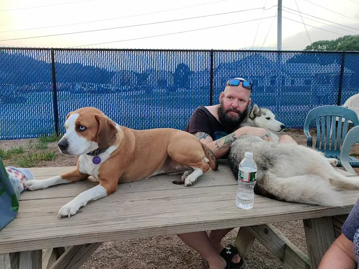 Westerly Dog Park 8