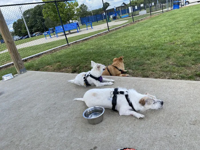 Westerly Dog Park 9