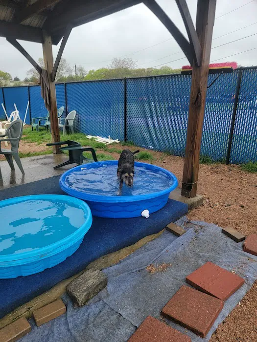 Westerly Dog Park 7