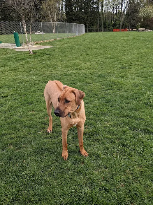 Overlook Dog Park *Membership required 6