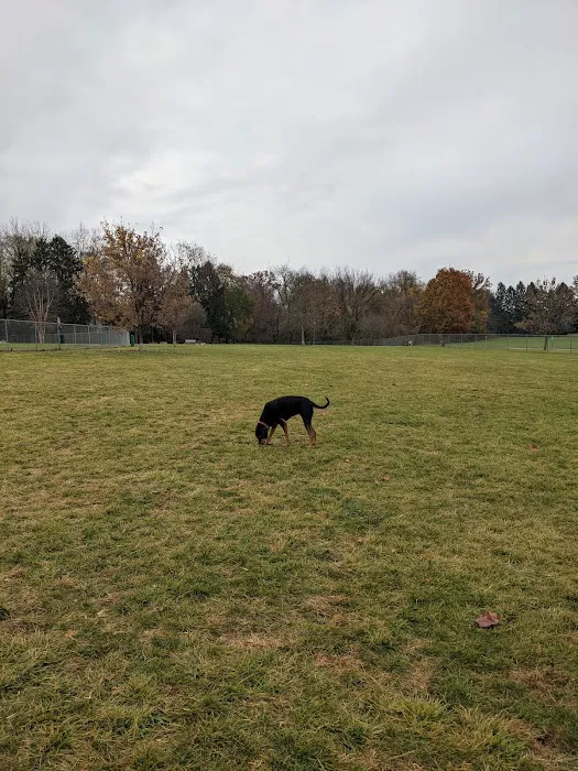 Overlook Dog Park *Membership required 3