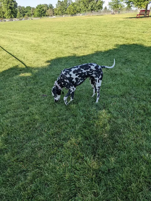 Overlook Dog Park *Membership required 4