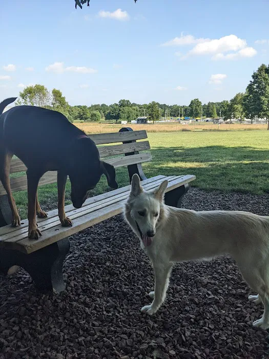 Overlook Dog Park *Membership required 7