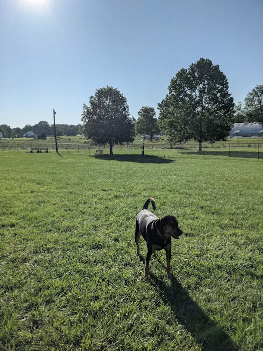 Overlook Dog Park *Membership required 9