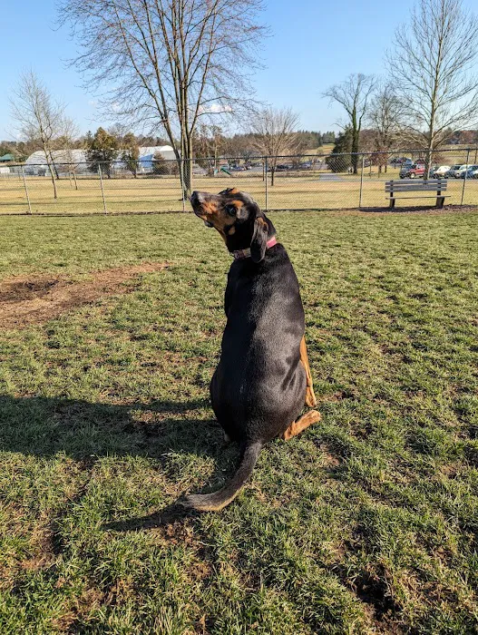 Overlook Dog Park *Membership required 8