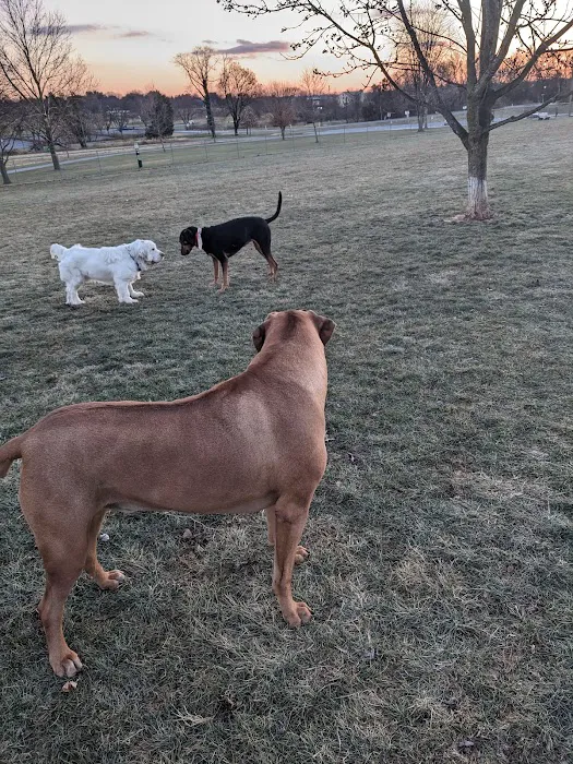Overlook Dog Park *Membership required 10