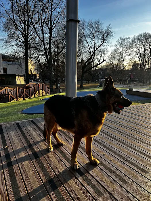 Beau’s Dream Dog Park 1