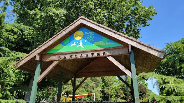 Beau’s Dream Dog Park 3