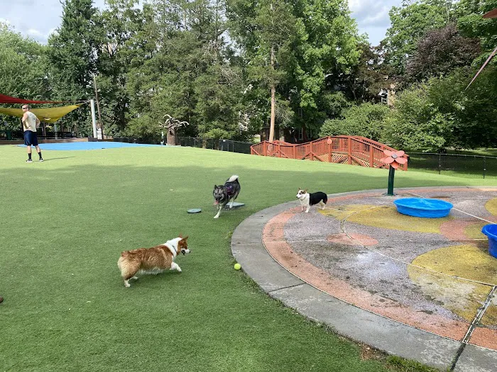 Beau’s Dream Dog Park 5