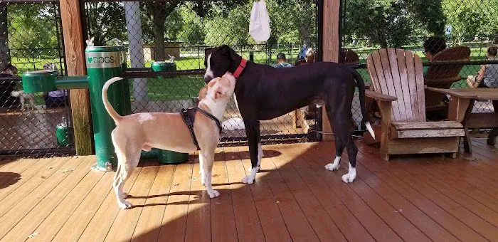 Beau’s Dream Dog Park 9