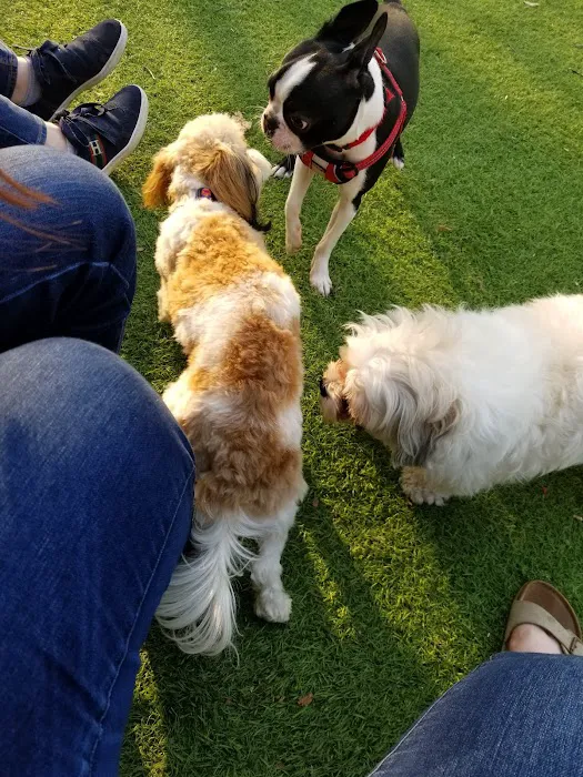 Beau’s Dream Dog Park 8