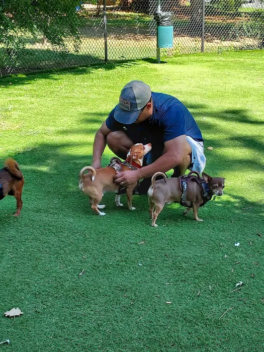 Beau’s Dream Dog Park 10