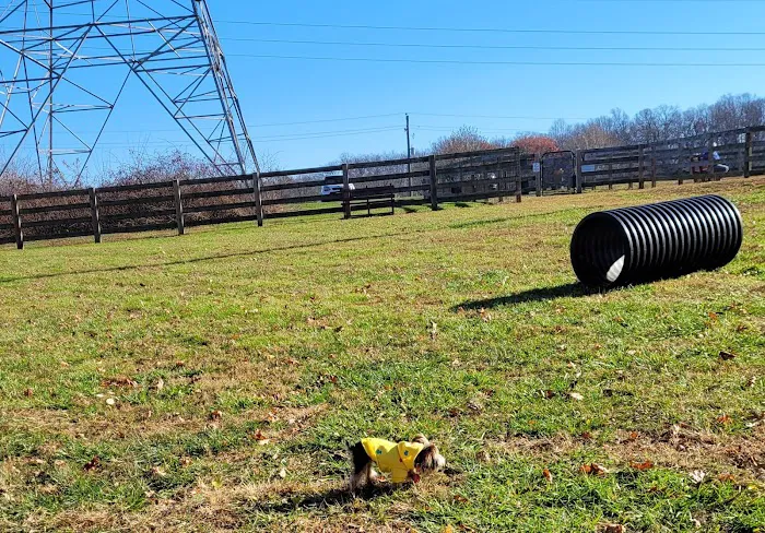 Oxford Area Recreation Dog Park 4