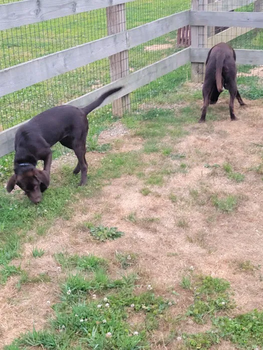 Oxford Area Recreation Dog Park 2