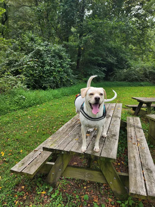 Oxford Area Recreation Dog Park 1