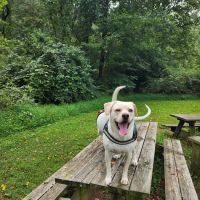 Oxford Area Recreation Dog Park ico