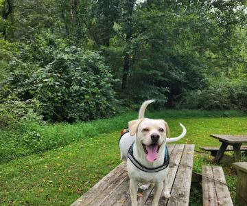 Oxford Area Recreation Dog Park