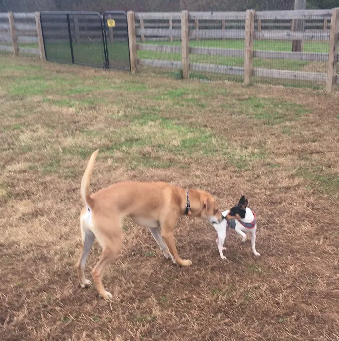 Oxford Area Recreation Dog Park 9