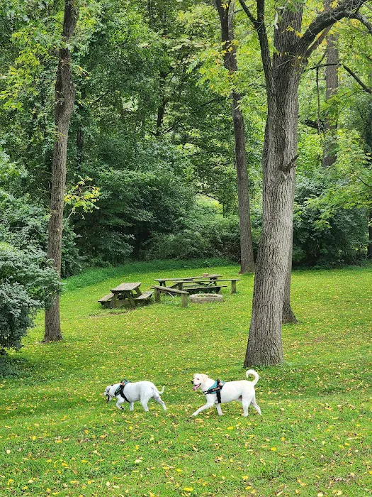 Oxford Area Recreation Dog Park 5