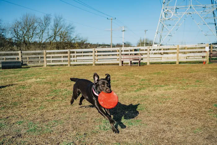 Oxford Area Recreation Dog Park 6