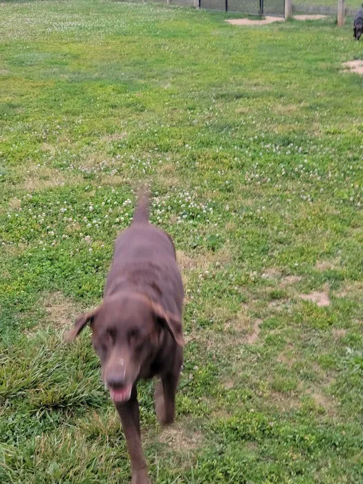 Oxford Area Recreation Dog Park 7