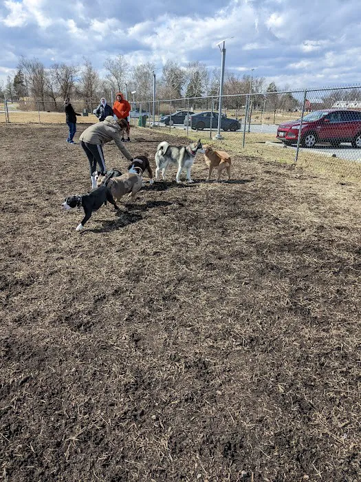 New Castle County Bark Park 2