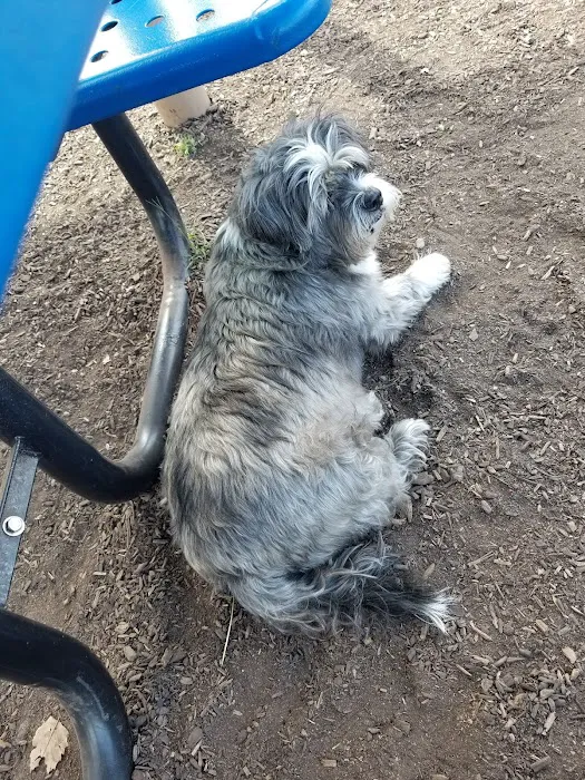New Castle County Bark Park 8