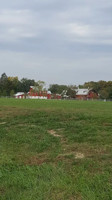 New Castle County Bark Park 7