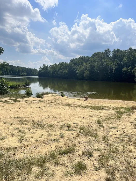 Lums Pond Dog Park 3